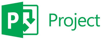 Microsoft Project 2021 Professional Plus: Project Management Software