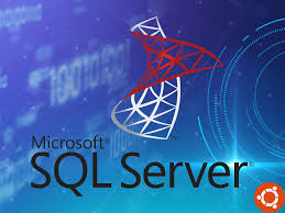Microsoft SQL Server 2017 Standard: A Reliable Database Management System