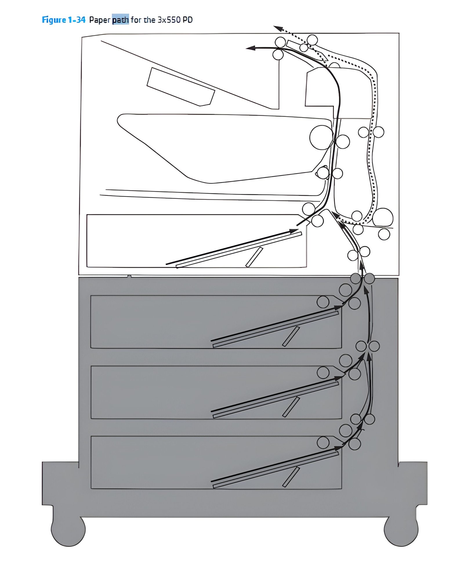 Master Reverse Numbering Checks: Print Numbers in Reverse Order