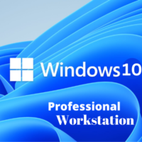 Microsoft Windows 10 Pro Workstation