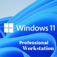 Microsoft Windows 11 Pro Workstation